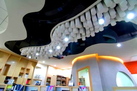 special ceiling design